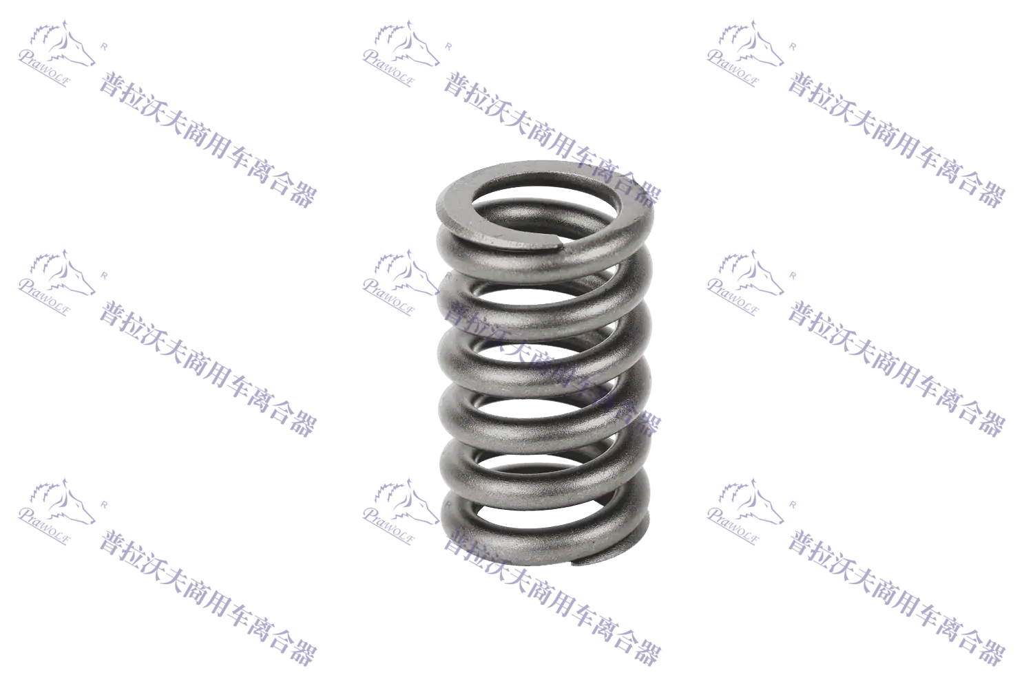 PRAWOLF Muelle de asistencia Easy-Pedal P30251