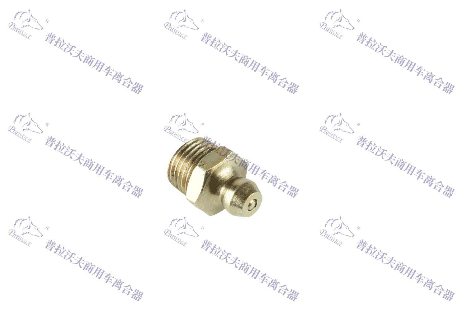 PRAWOLF Engrasador, 1/8"-27 x 9/32" P50181